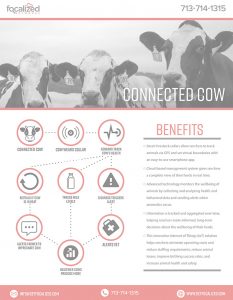 Connected Cow-IoT-Focalized Networks